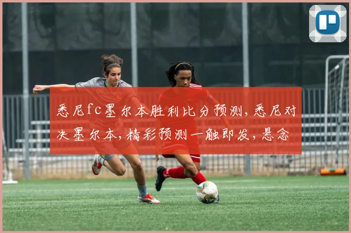 悉尼fc墨尔本胜利比分预测,悉尼对决墨尔本,精彩预测一触即发,悬念重重